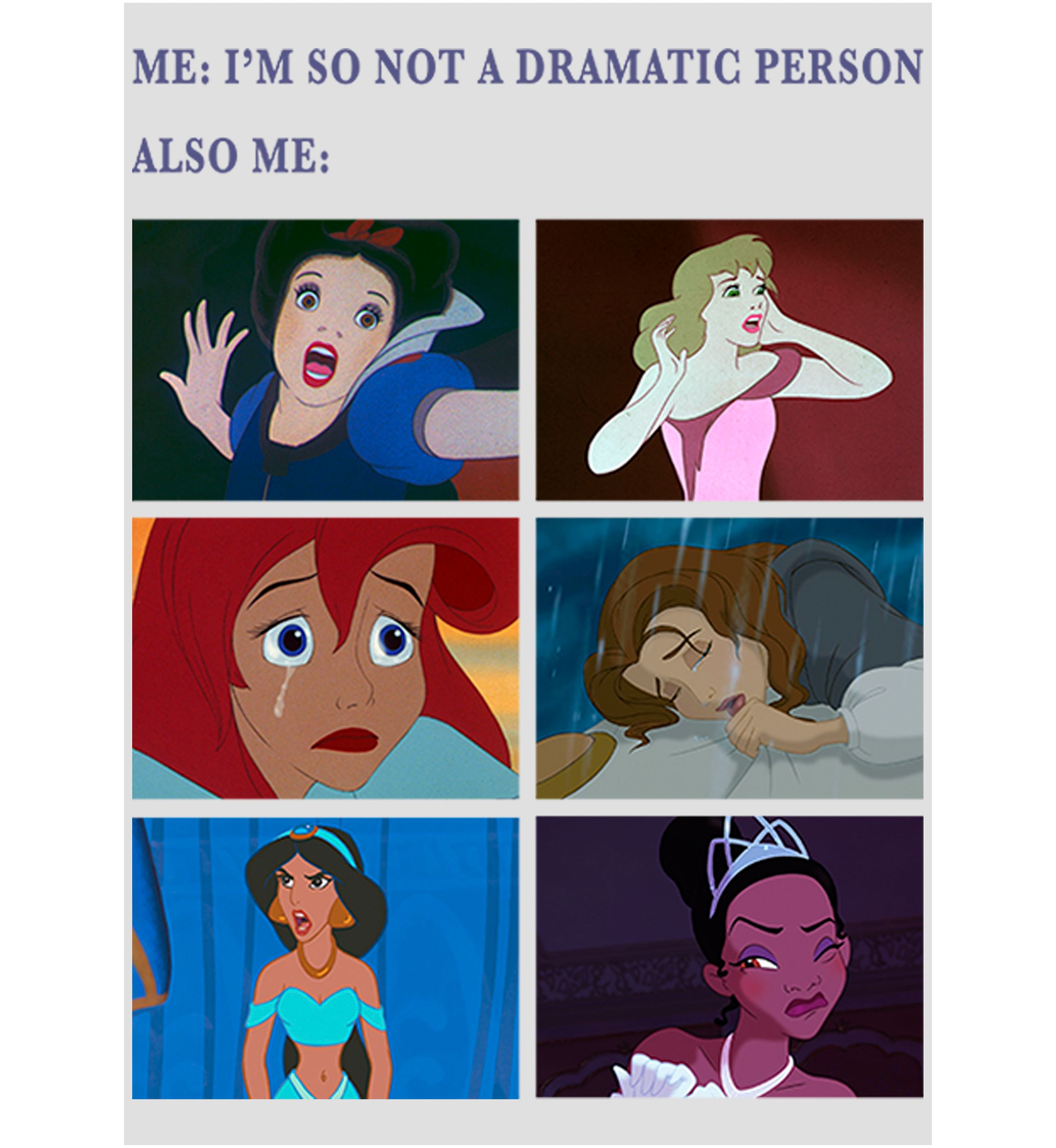 Princess Drama Meme