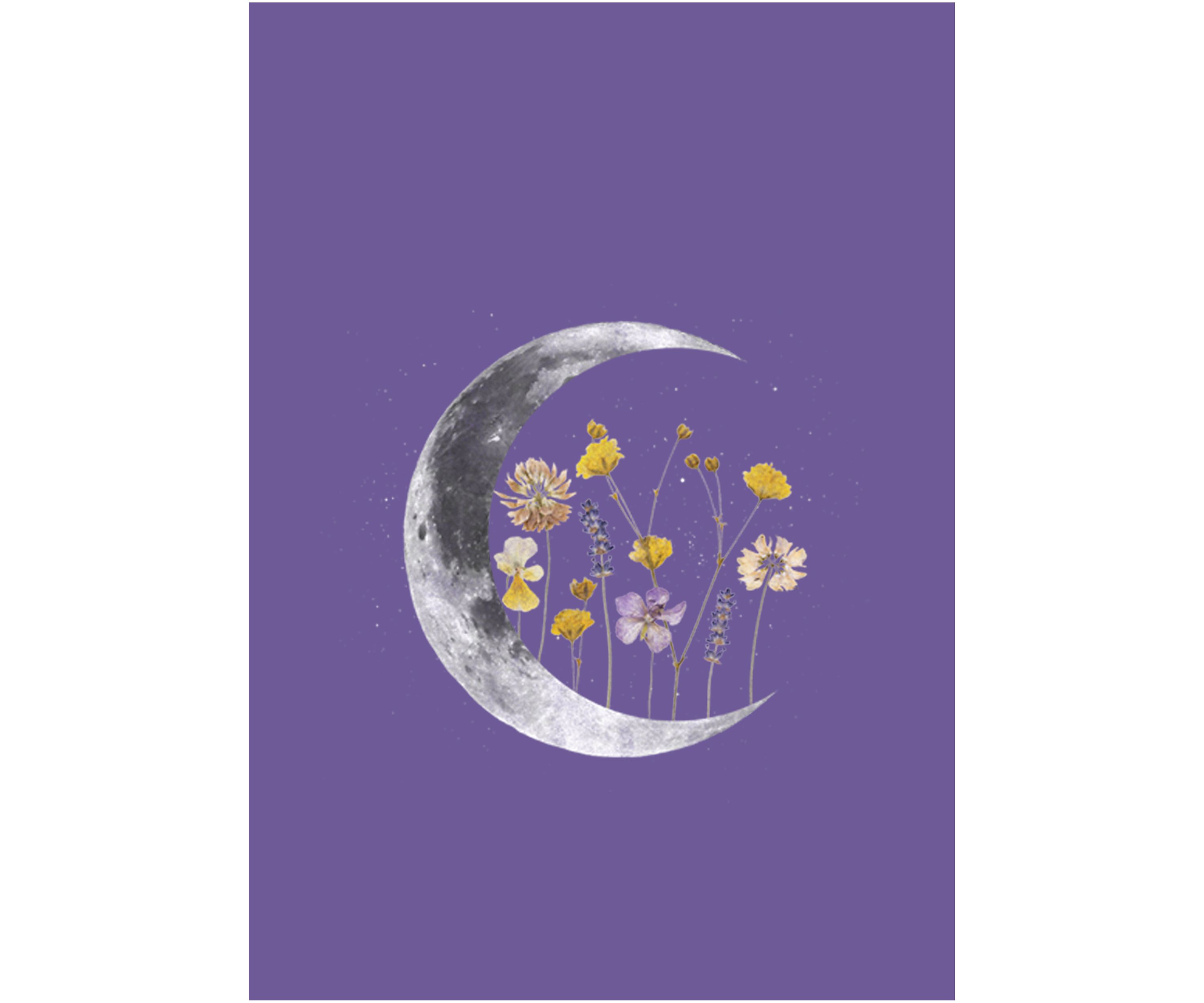 Night Moon Flower
