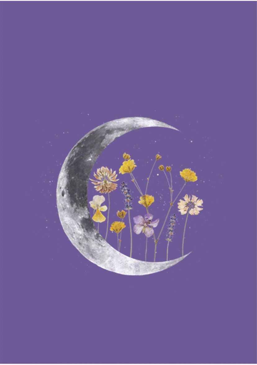 Night Moon Flower