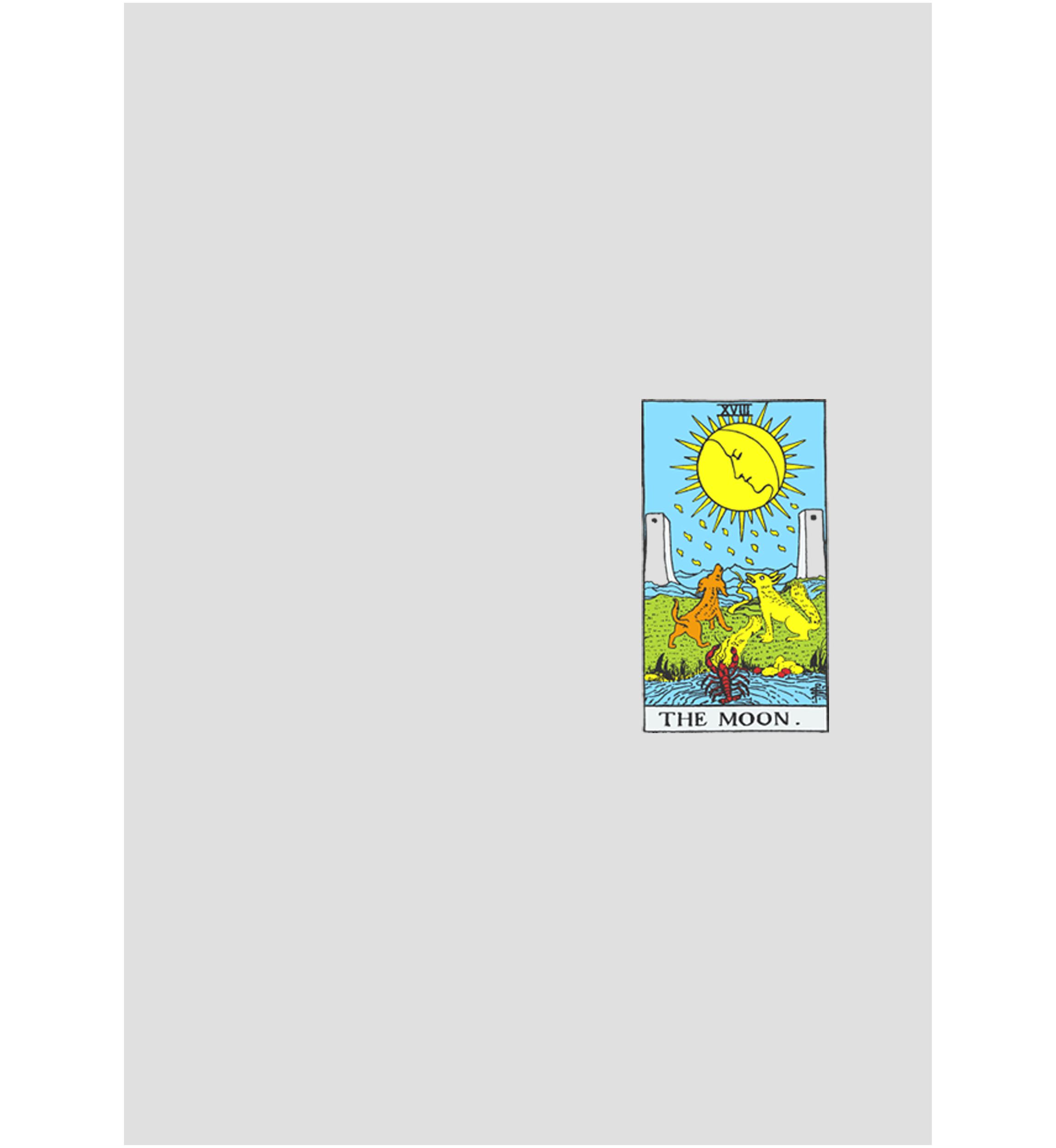 THE MOON TAROT