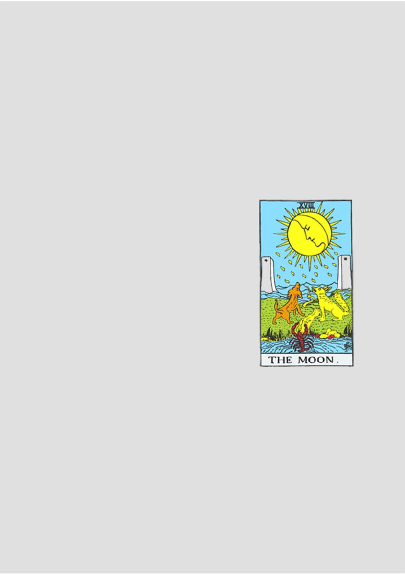 THE MOON TAROT
