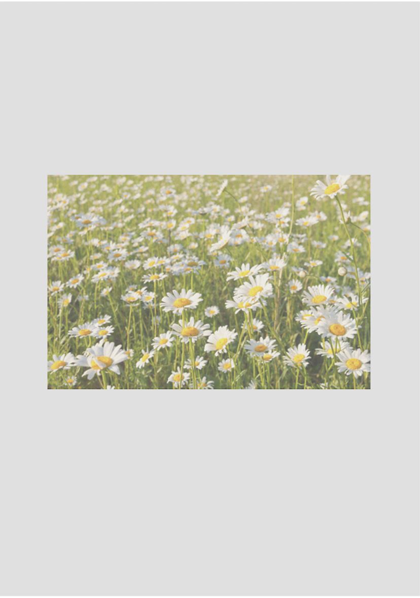 SPRING BLOOM