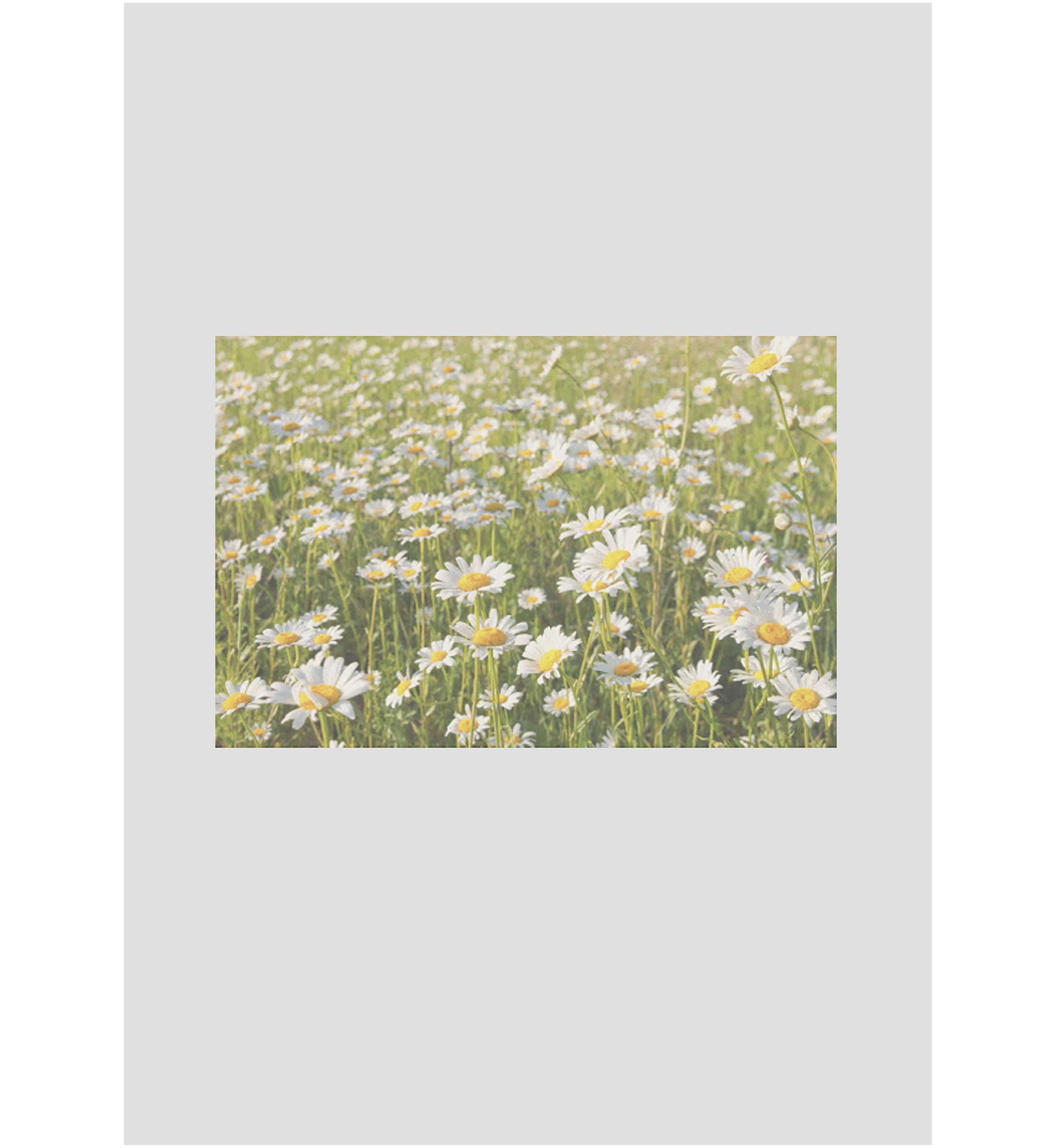 SPRING BLOOM Graphic Tank