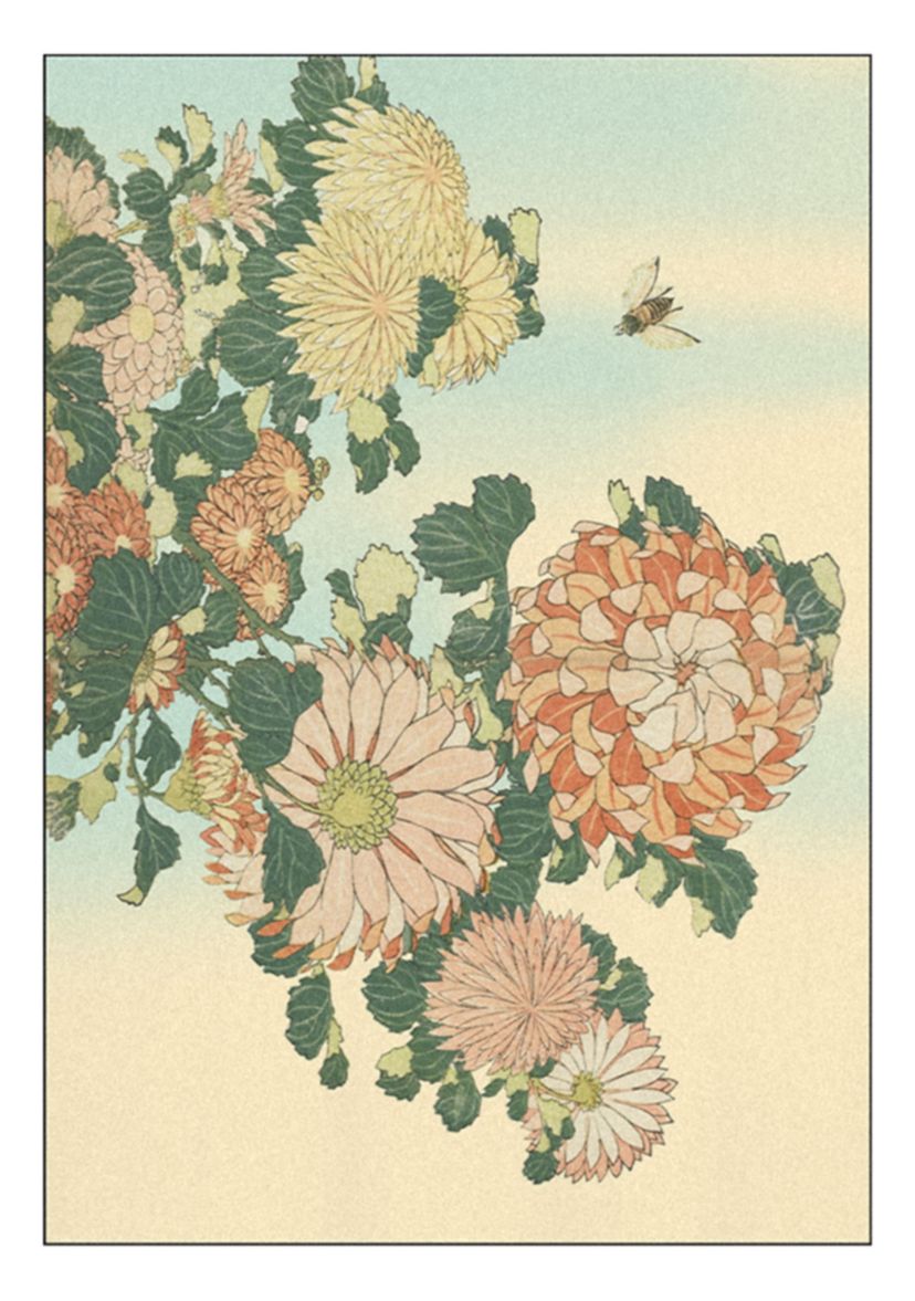 Asian Blossoms Graphic T-Shirt