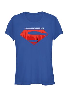 DC COMICS Women's City Symbol Graphic T-Shirt, XXL
