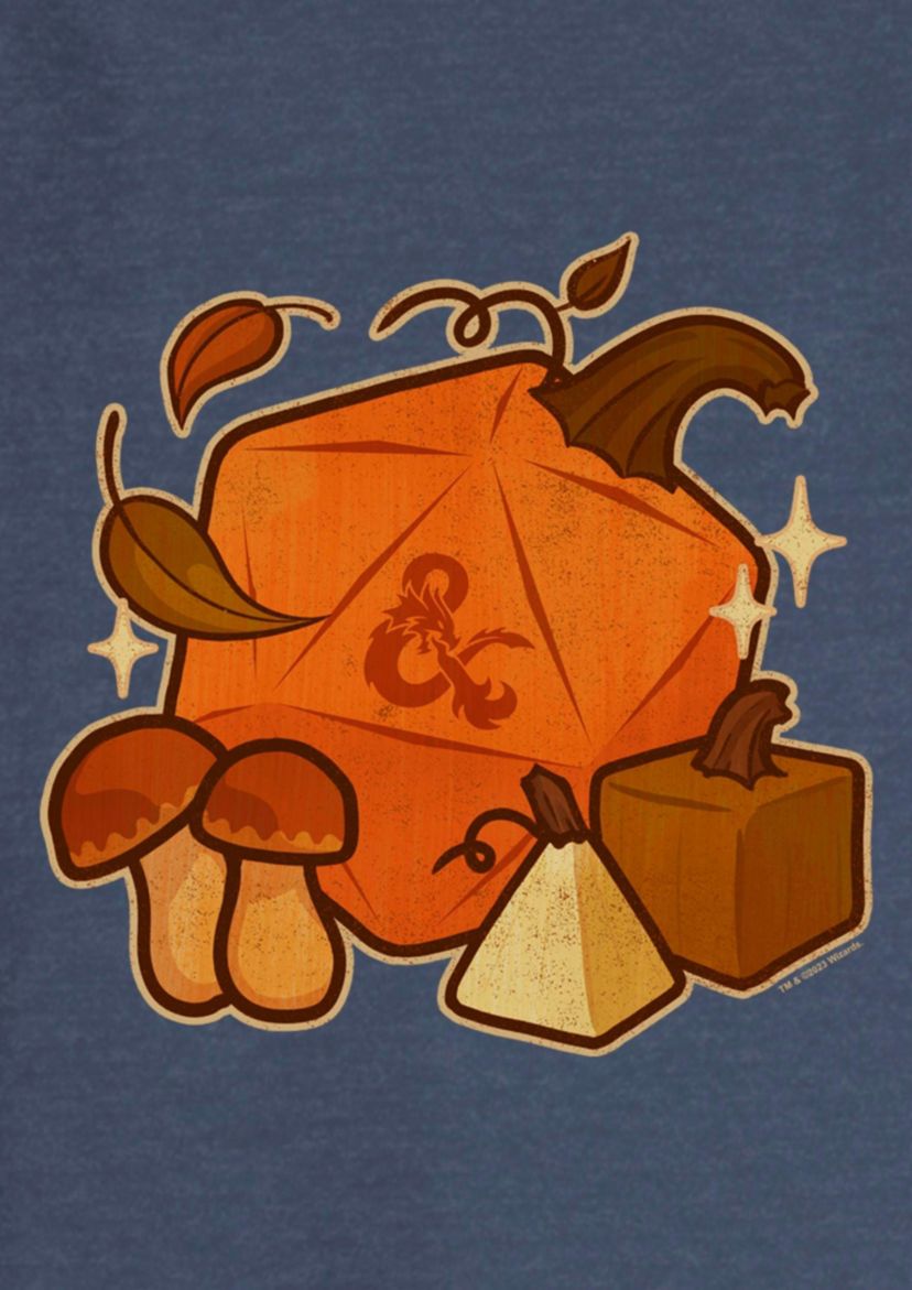 Pumpkin D20 Slouchy Terry