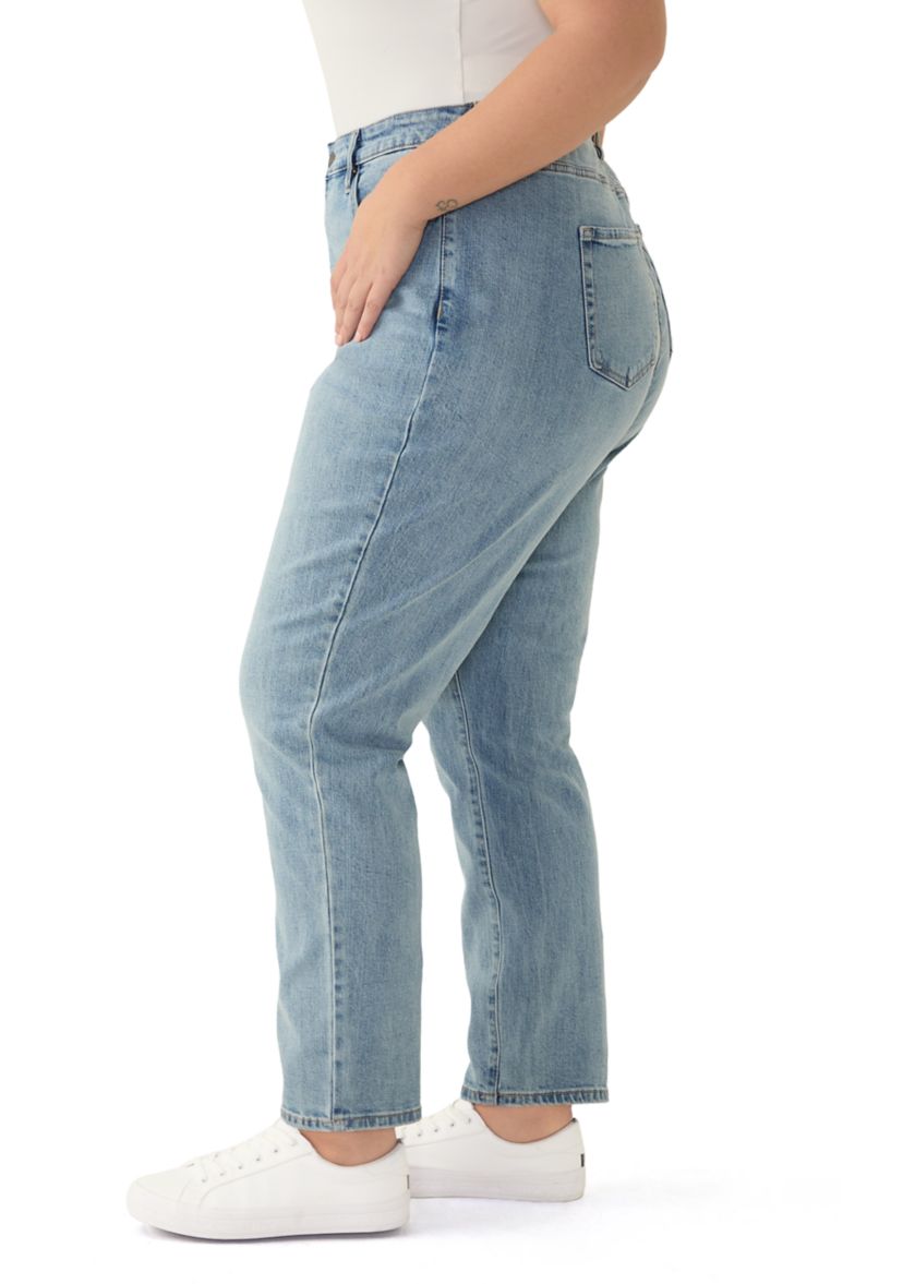 Plus Size High Rise Slim Straight Jeans