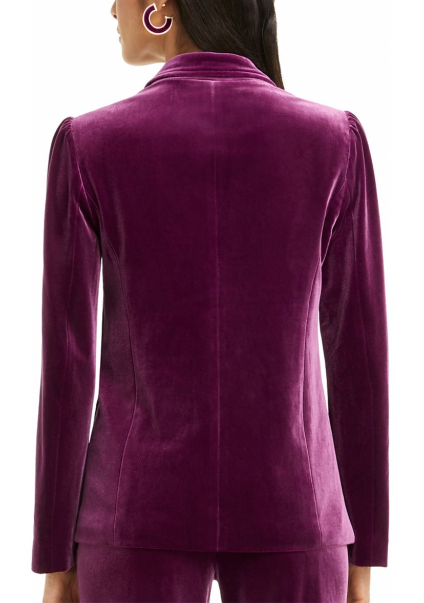 Womens Velvet Blazer