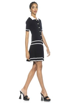 Lucinda Collared Knit Dress