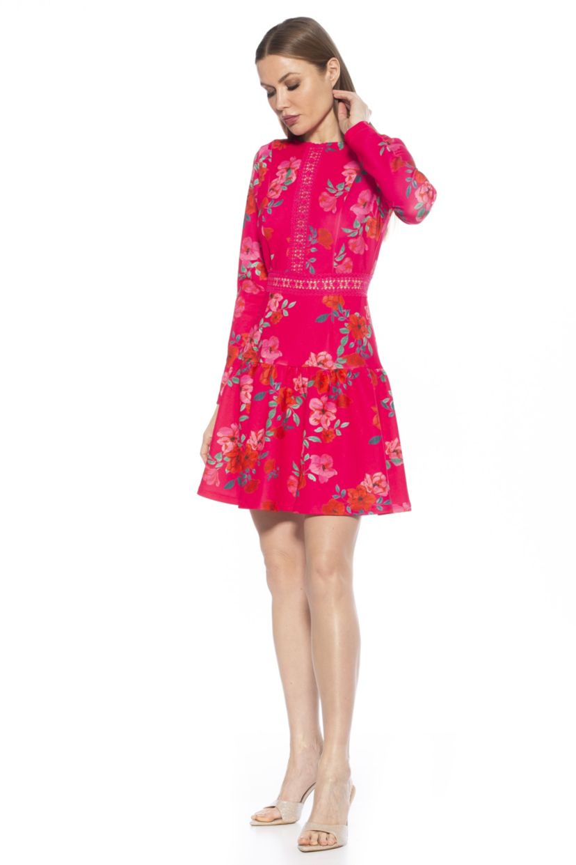 Alexa Long Sleeves Lace Trim Dress