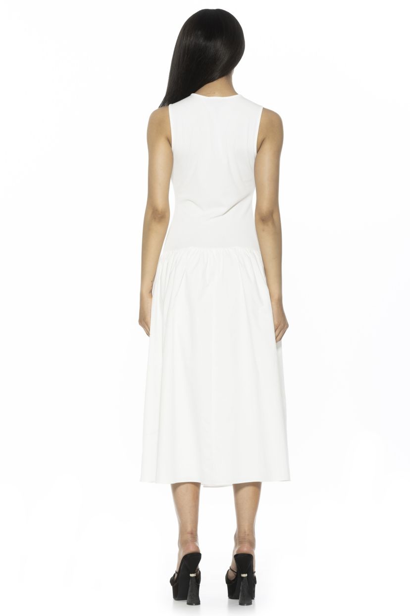Lyle Crewneck Fit And Flare Midi Dress