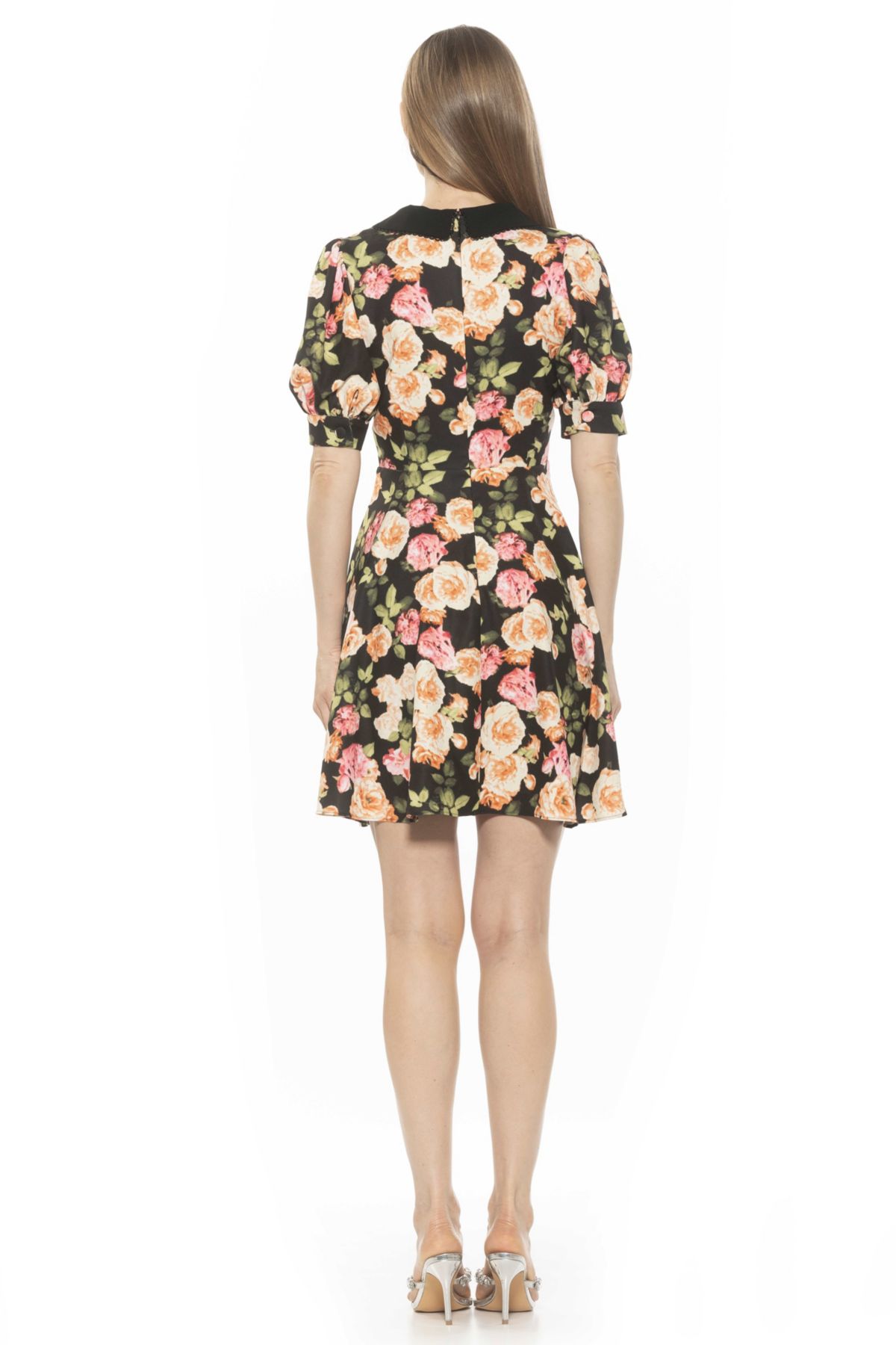 Carys Collared Fit And Flare Dress