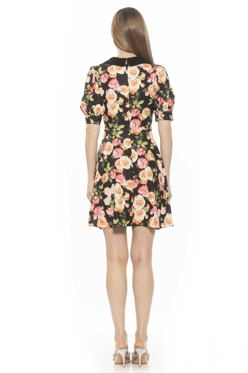 Carys Collared Fit And Flare Dress