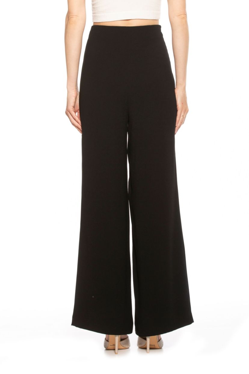 Elia Pleated Wide Leg Pants