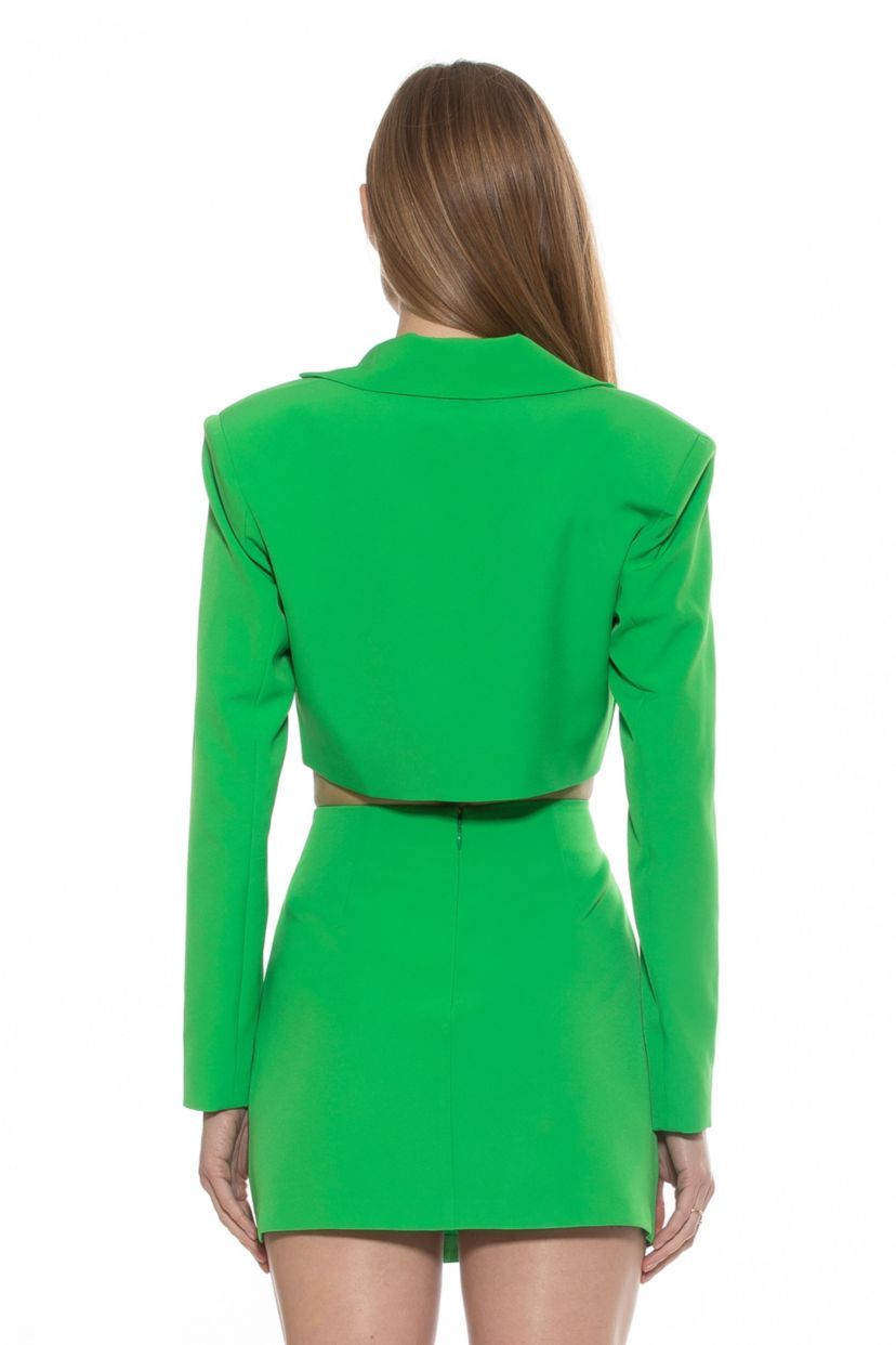 Bonne Asymmetric Mini Skirt