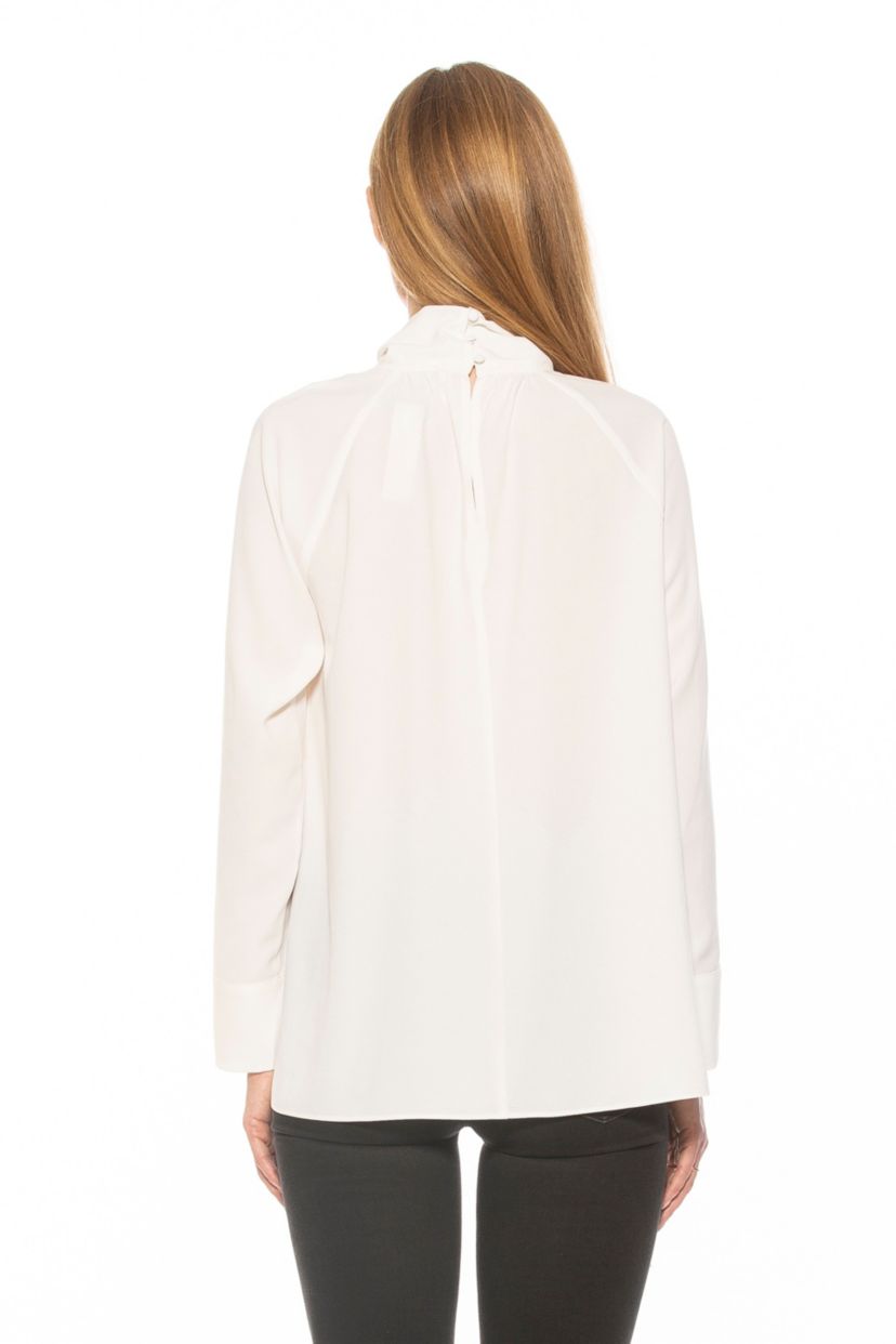 Danielle Draped Mockneck Silky Flowy Blouse