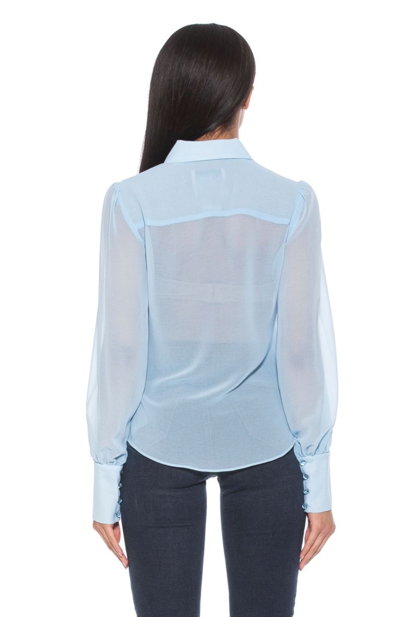 Zayn Collar Blouson Sleeve Sheer Blouse