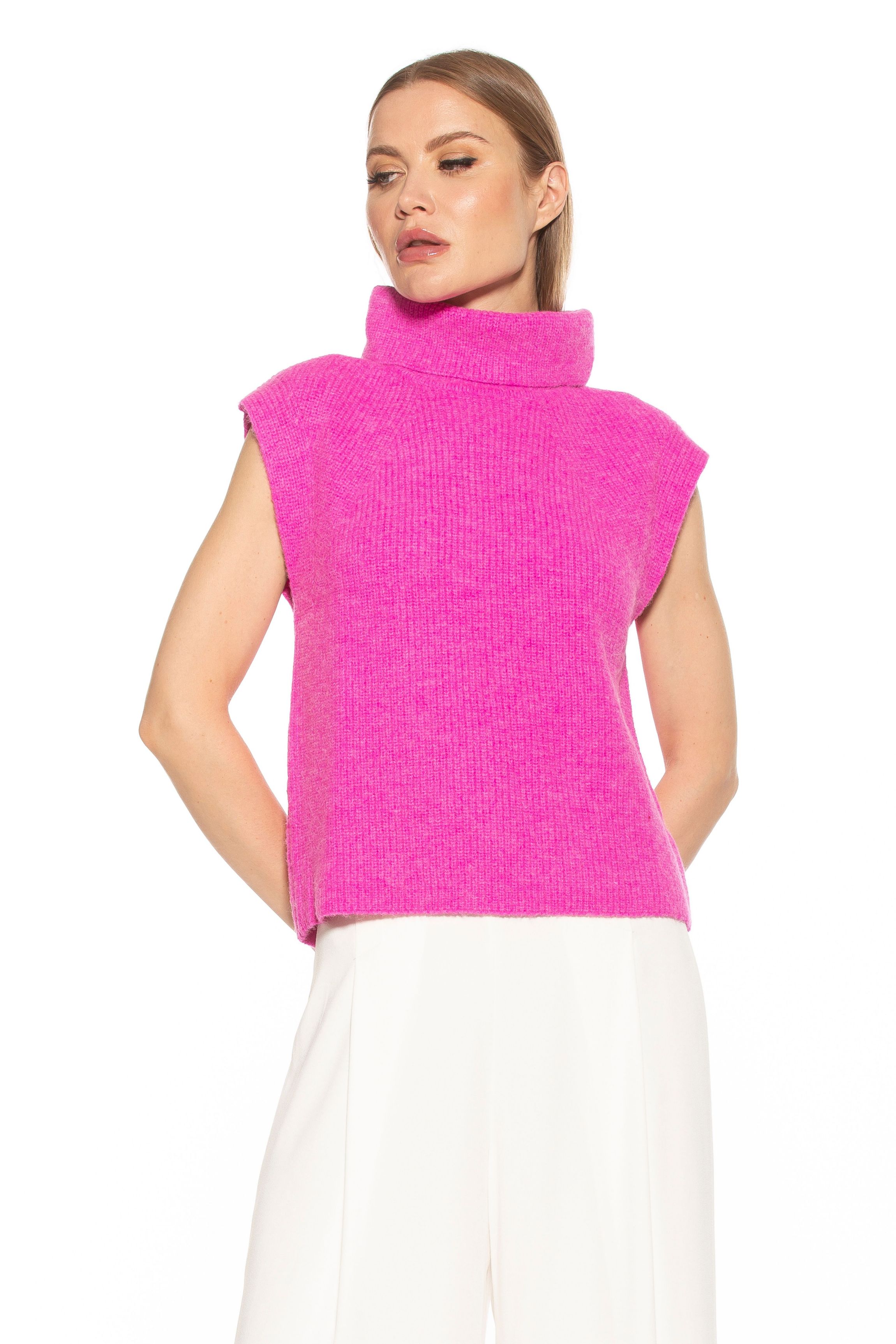 Jaylani Knit Turtleneck Sweater Vest