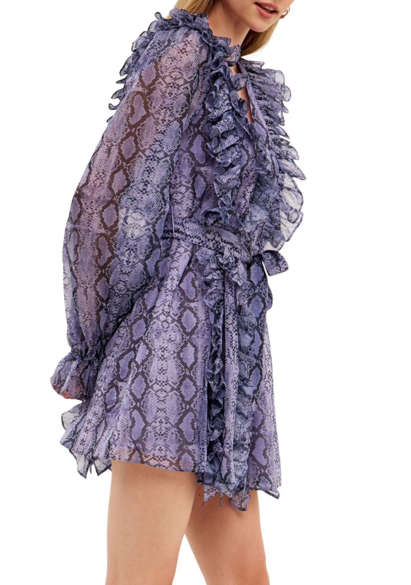 Button Down Ruffle Mini Dress