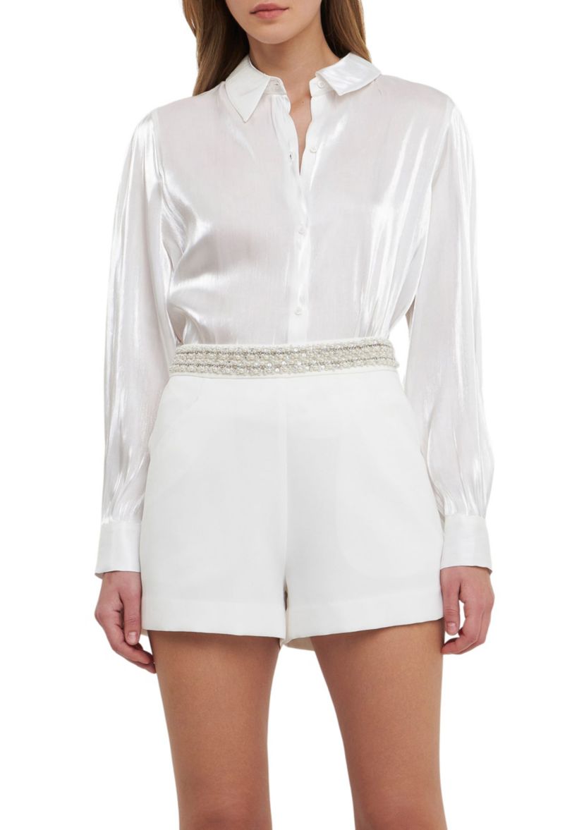 Shiny Sheer Dress Shirt Top