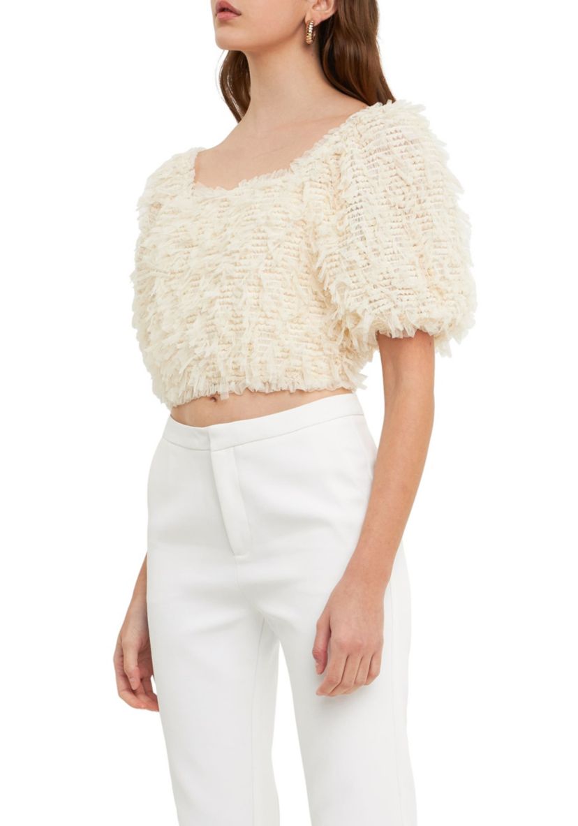 Mesh Trimmed Puff Sleeve Top