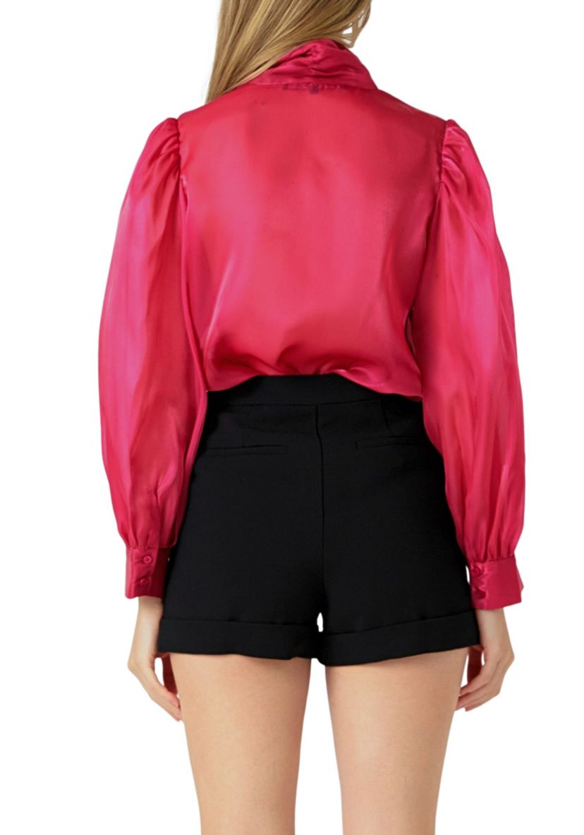 Organza Blouse Top