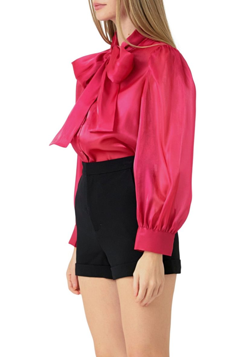 Organza Blouse Top