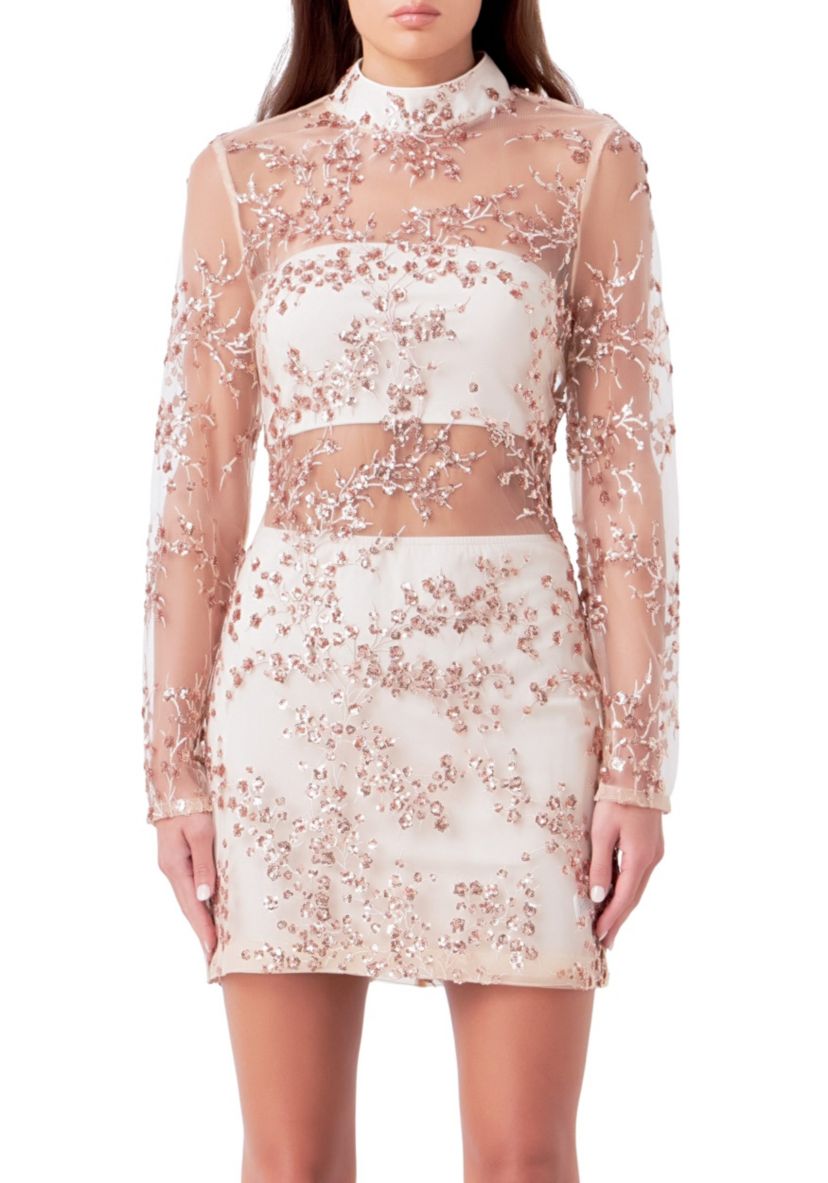 Sequins Embroidered Mini Dress