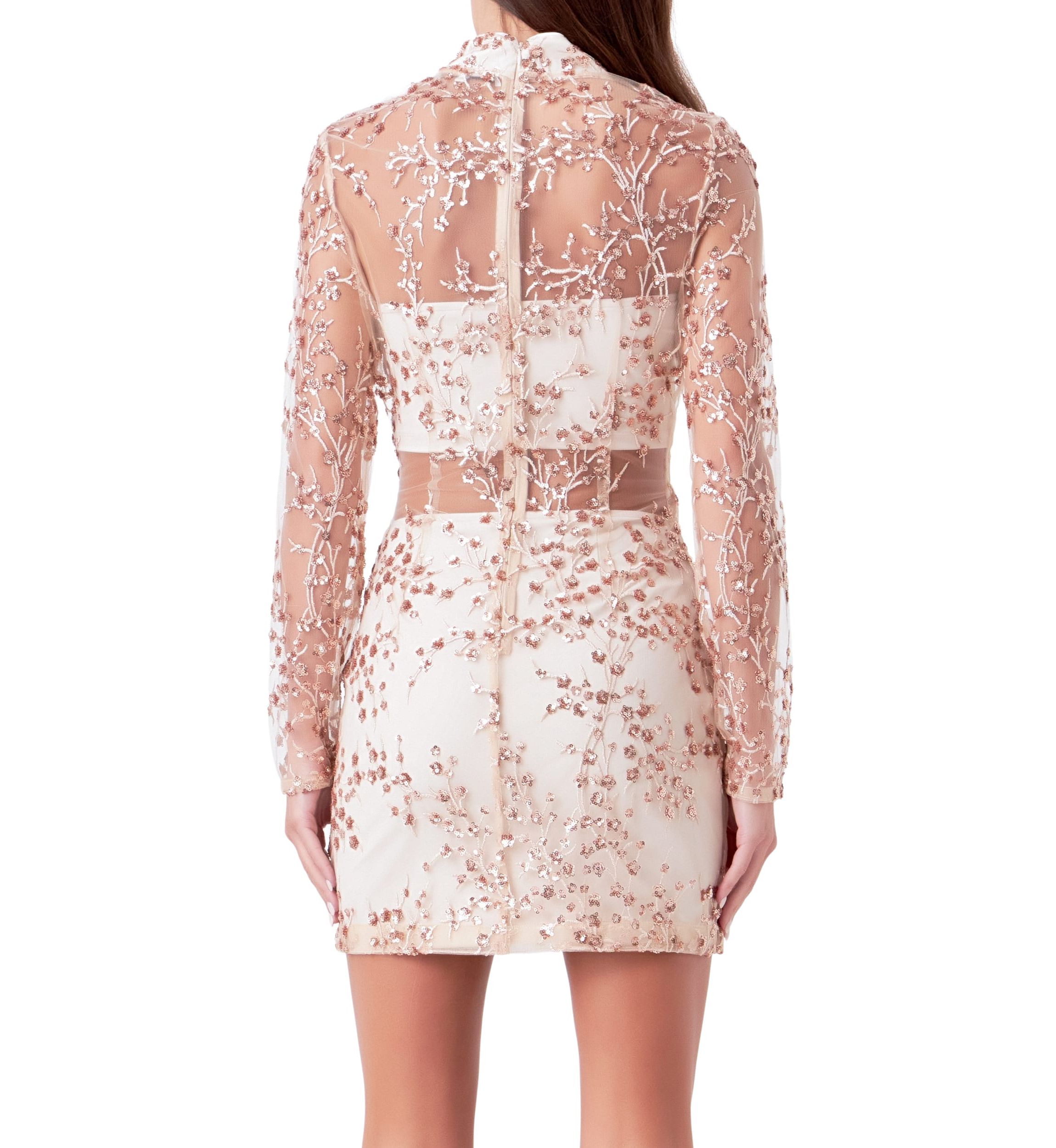 Sequins Embroidered Mini Dress