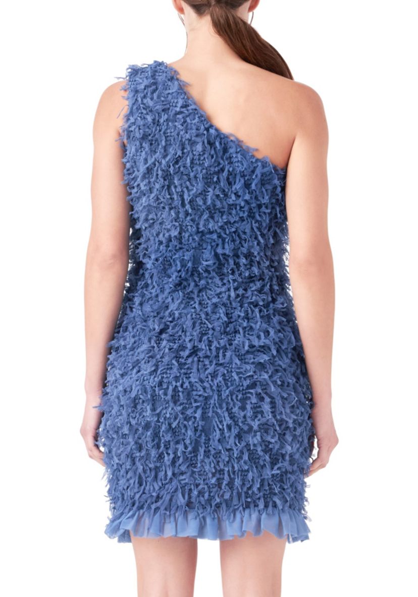 Mesh Trimmed One Shoulder Mini Dress