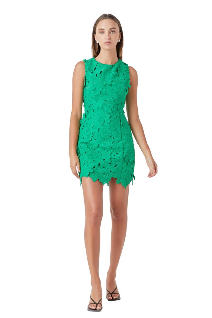 Floral Embroidered Mini Dress