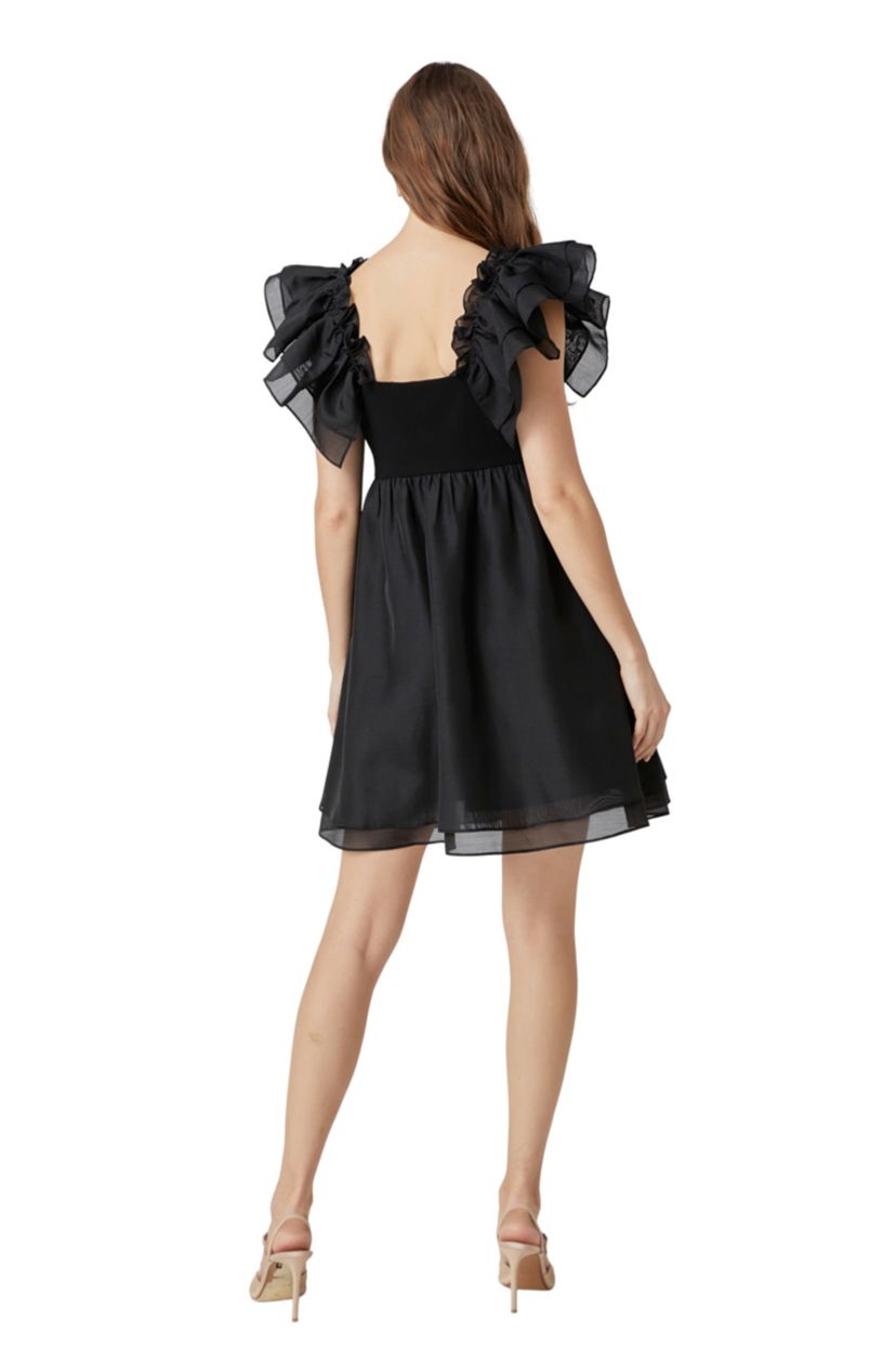 Organza Sleeve Mini Dress
