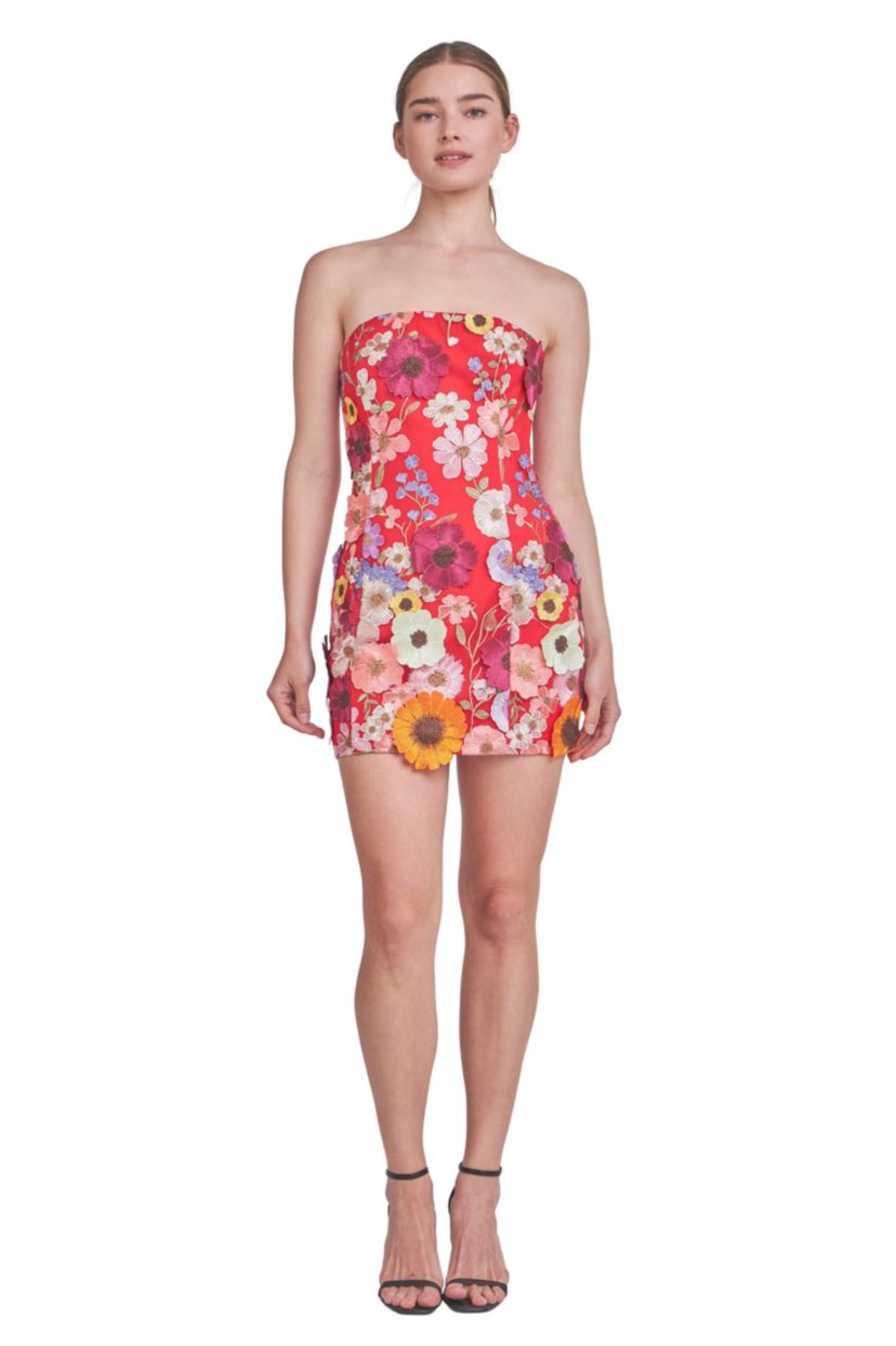 Floral Embroidered Mini Dress