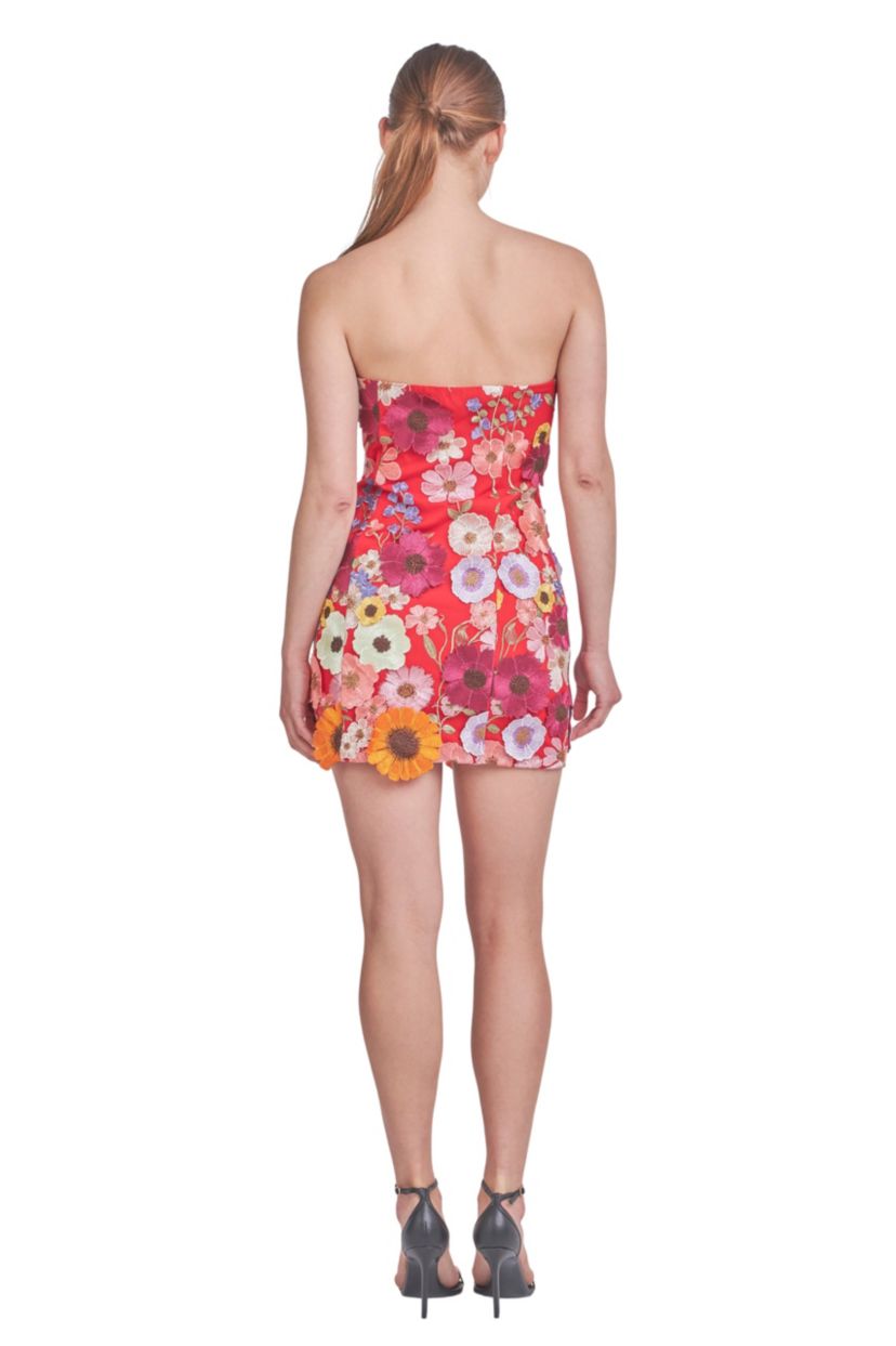 Floral Embroidered Mini Dress