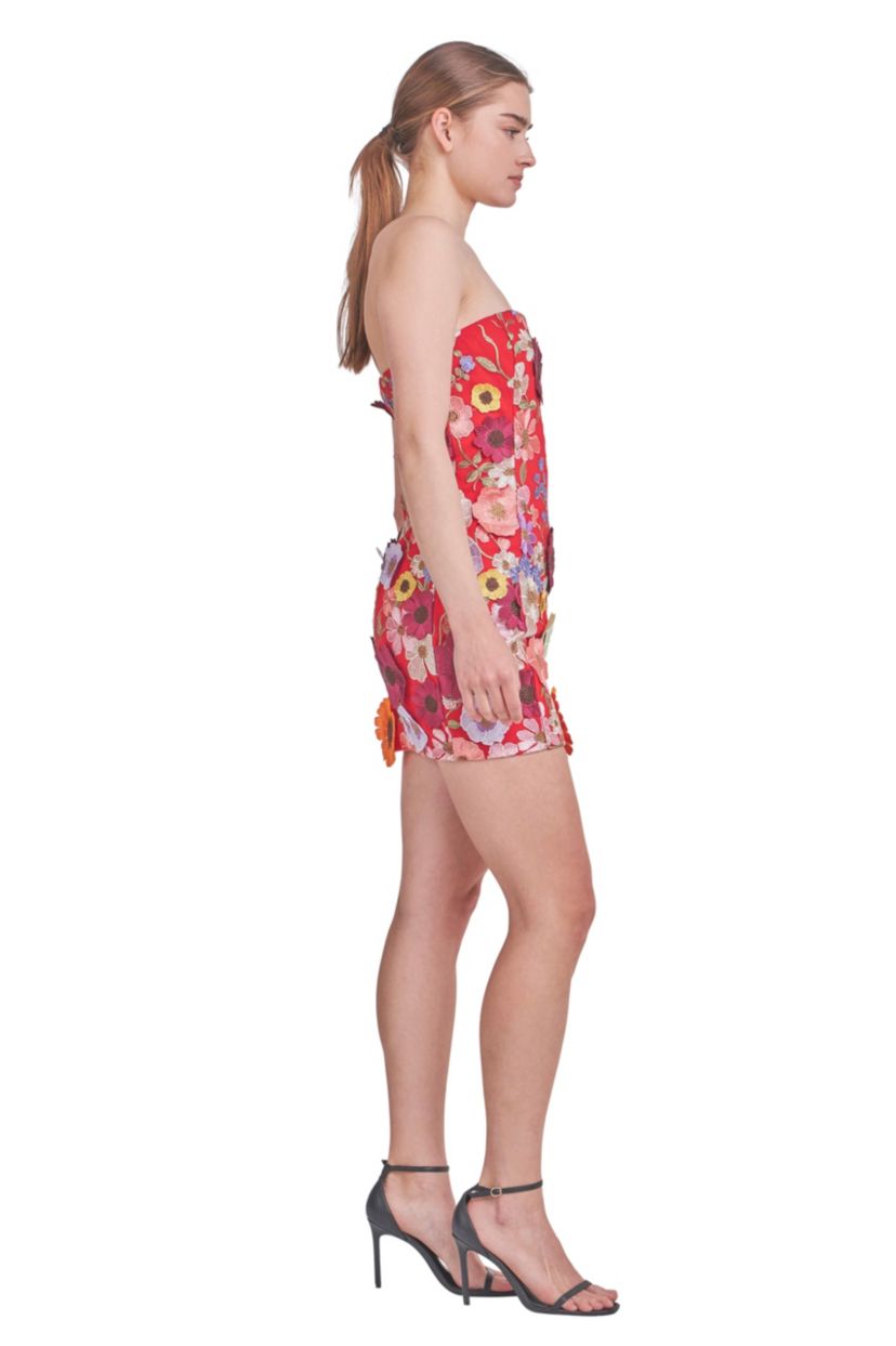 Floral Embroidered Mini Dress