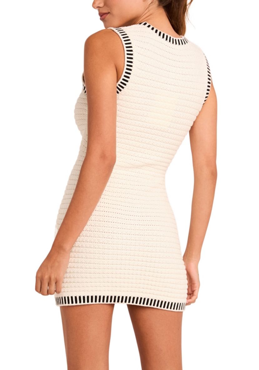 Border Sweater Mini Dress