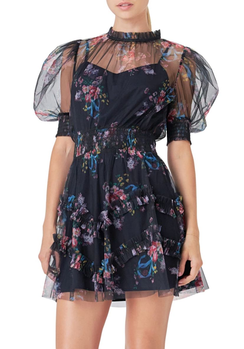 Ruffled Mesh Mini Dress