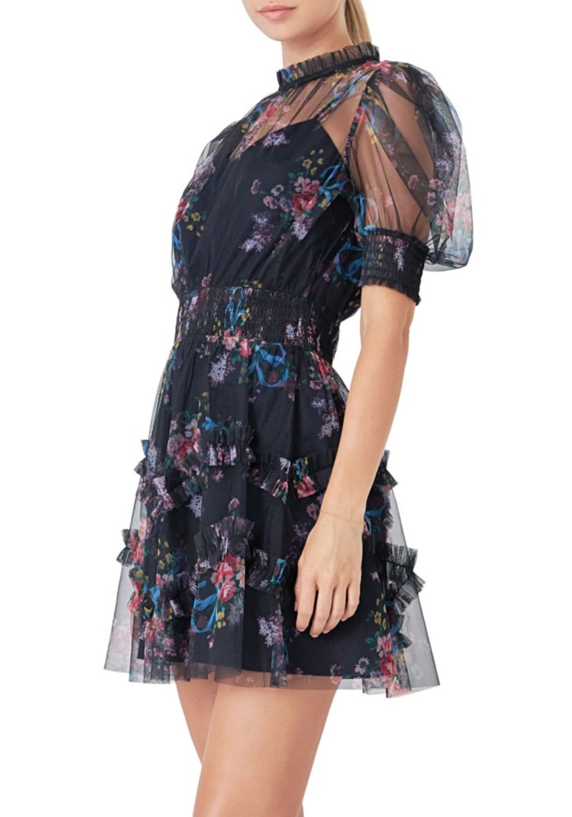 Ruffled Mesh Mini Dress