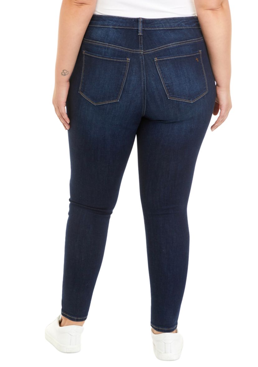 Plus Size High Rise Skinny Jeans								