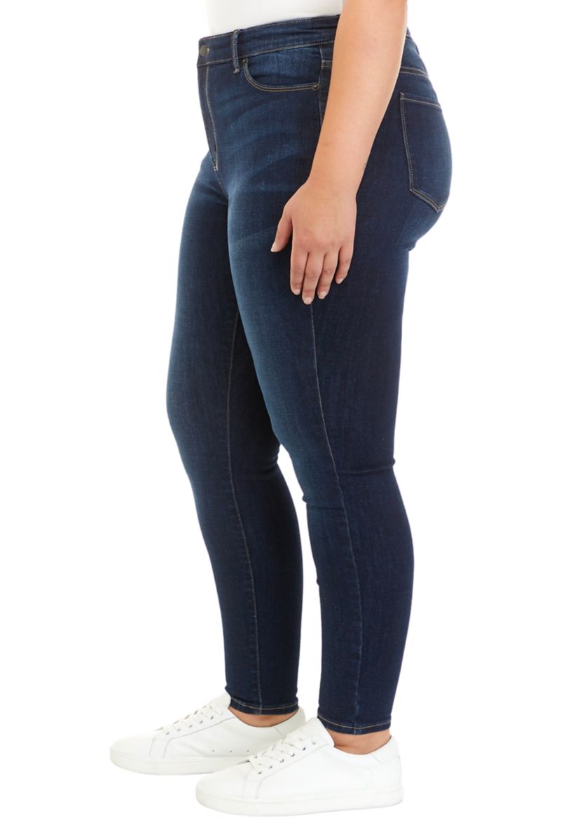 Plus Size High Rise Skinny Jeans								