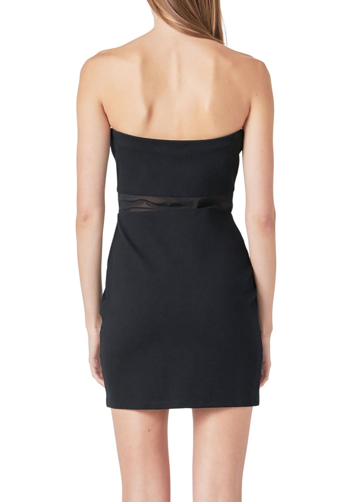 Strapless Mesh Mini Dress