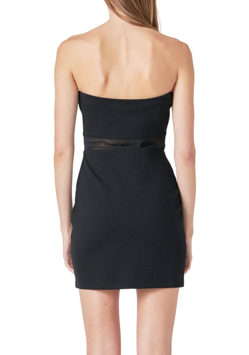 Strapless Mesh Mini Dress