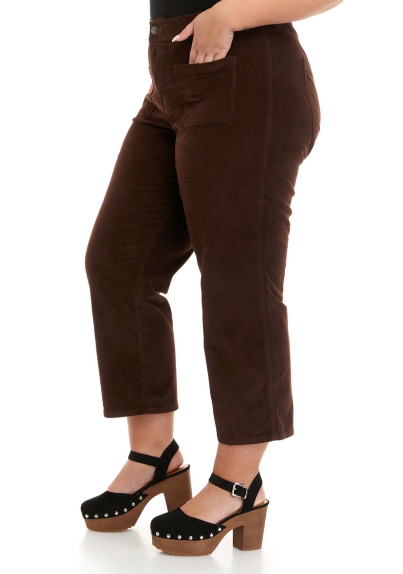 Plus Size High Rise Vintage Straight Jeans