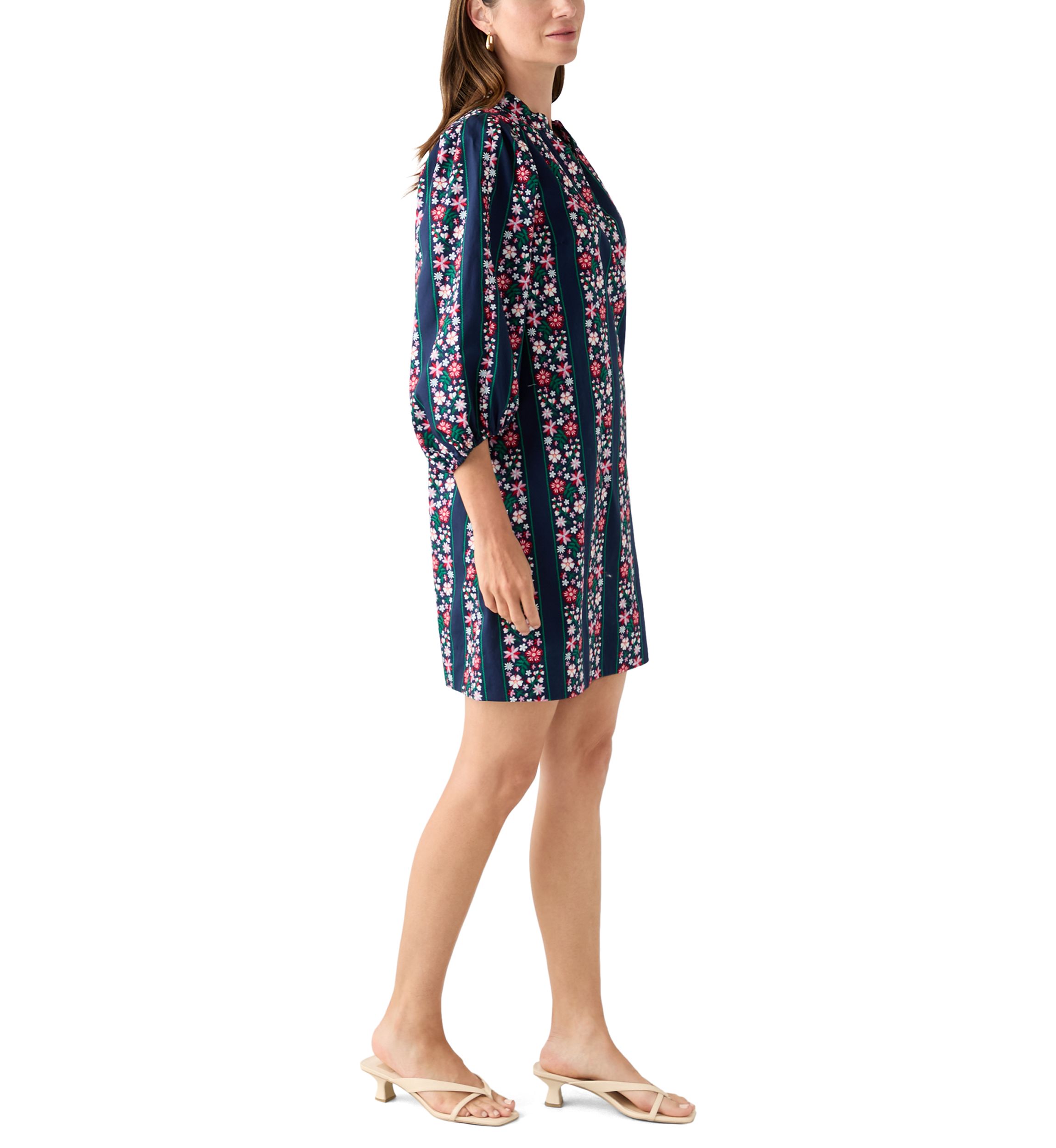 Womens Puff Sleeve Printed Dress
