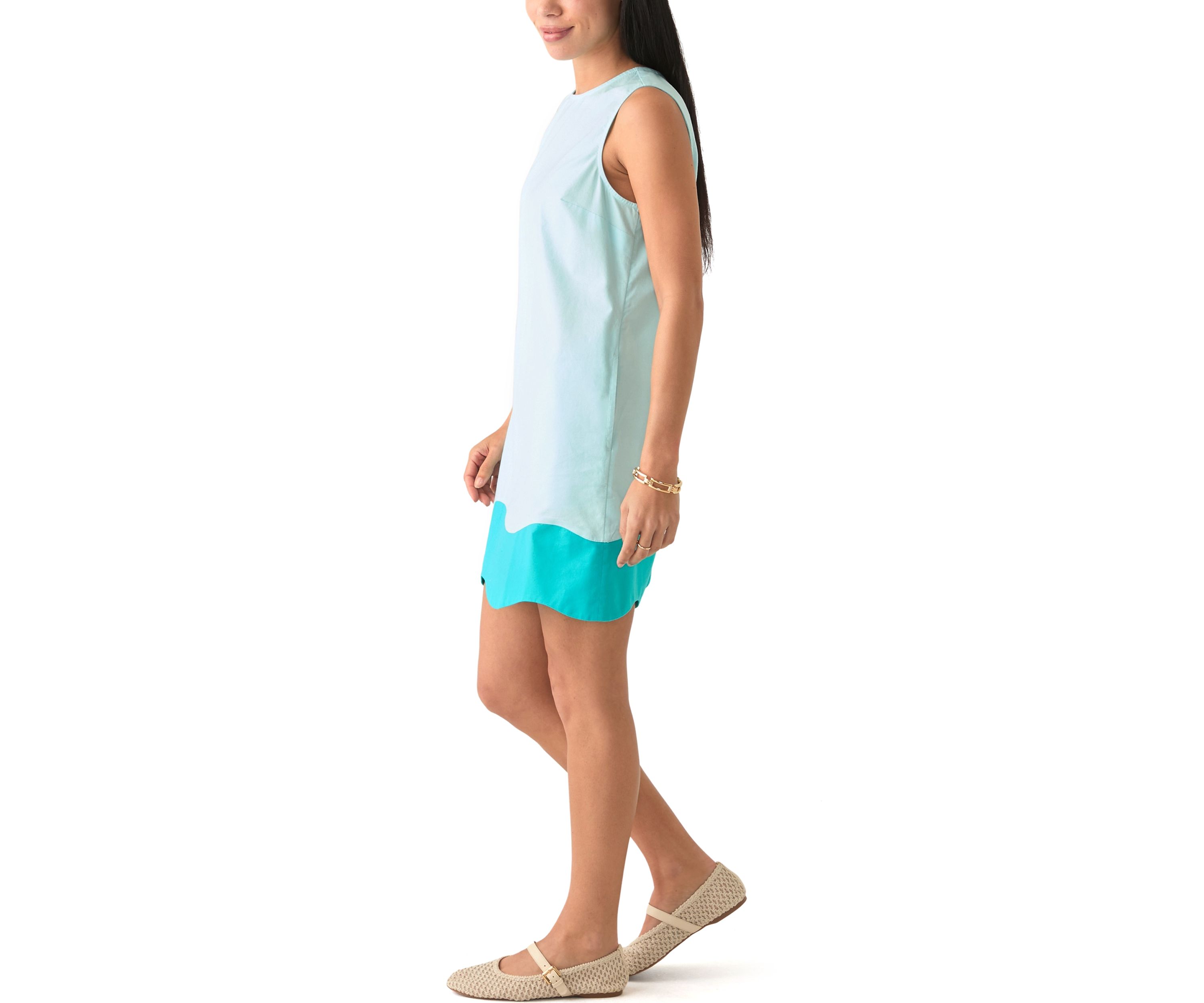 Petite Sleeveless Color Block Dress