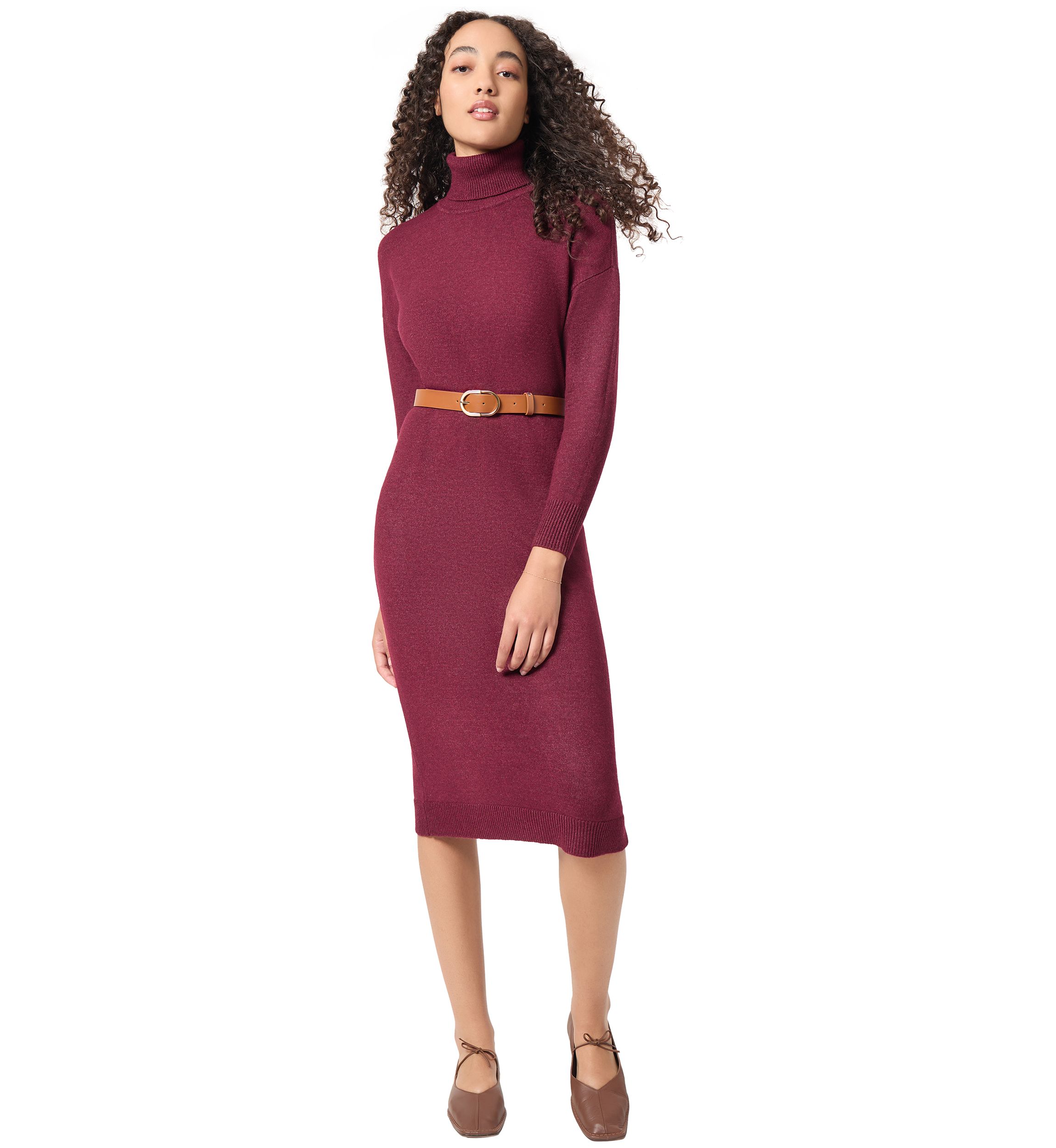 Petite Long Sleeve Turtleneck Dress