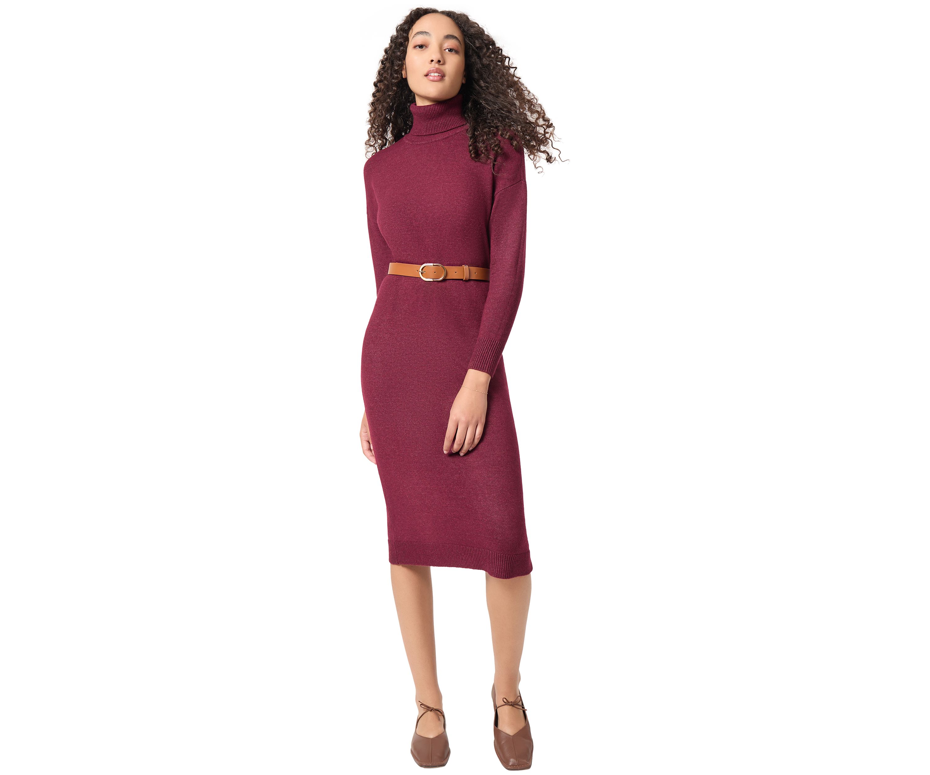 Petite Long Sleeve Turtleneck Dress