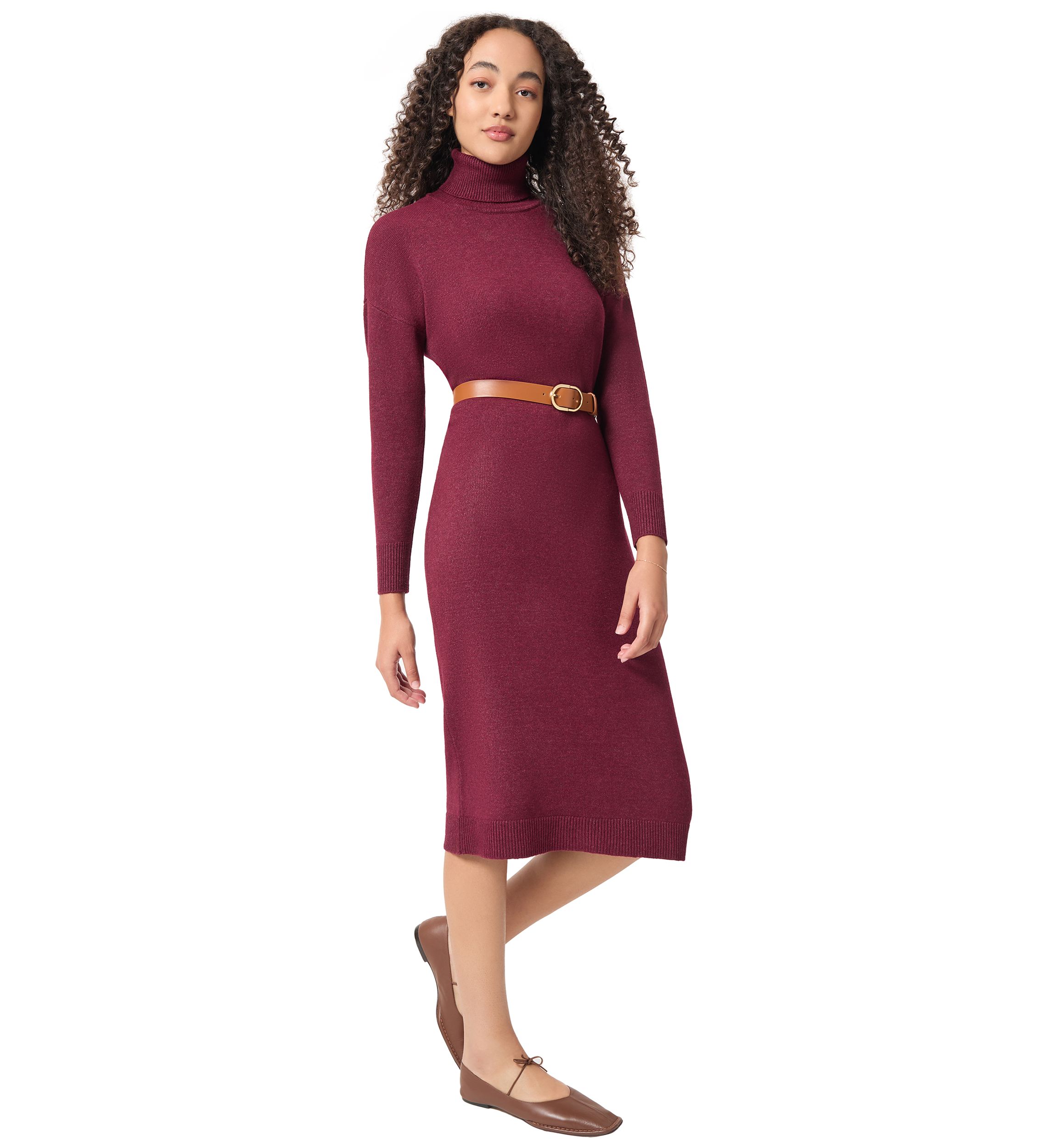 Petite Long Sleeve Turtleneck Dress