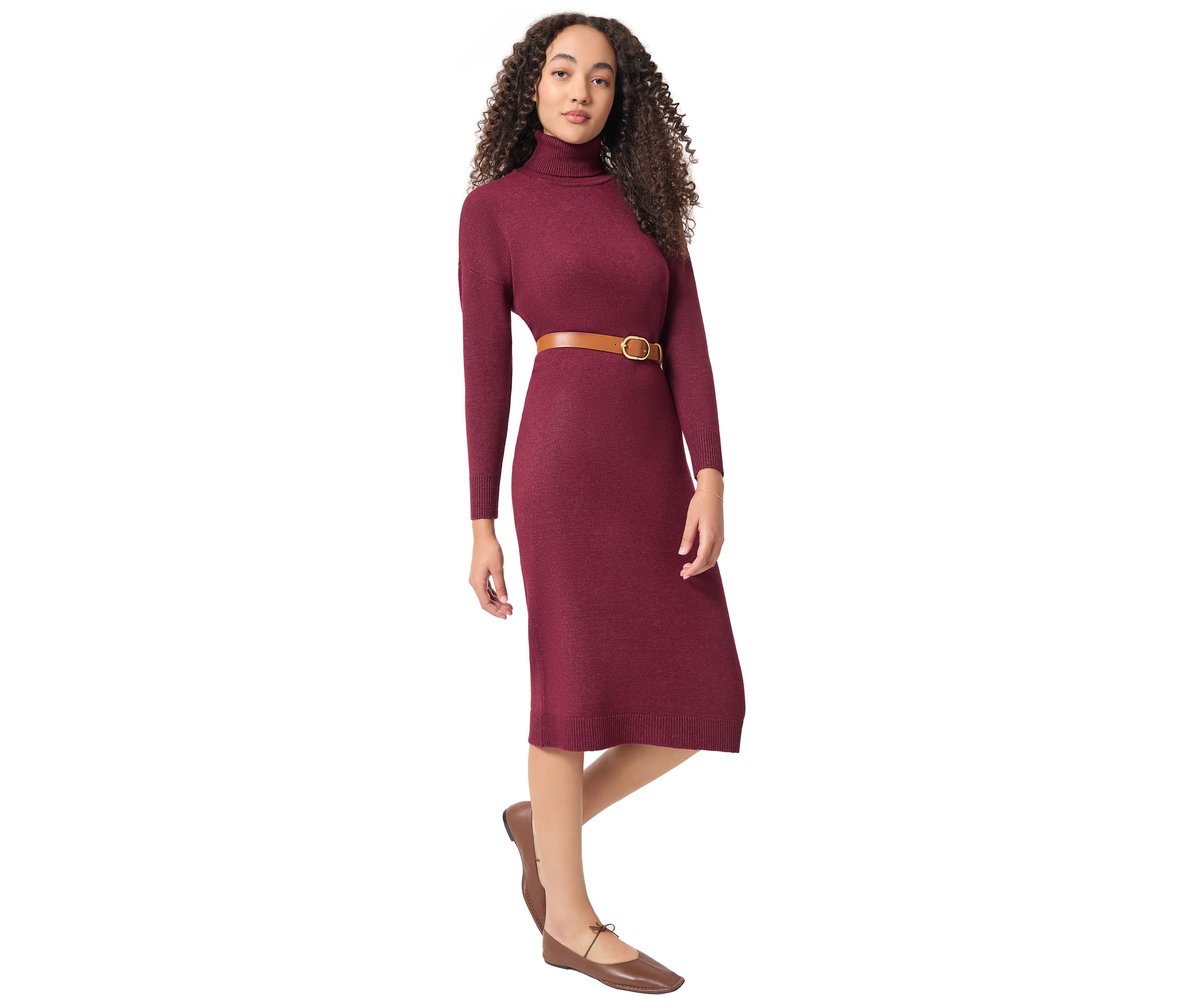 Petite Long Sleeve Turtleneck Dress