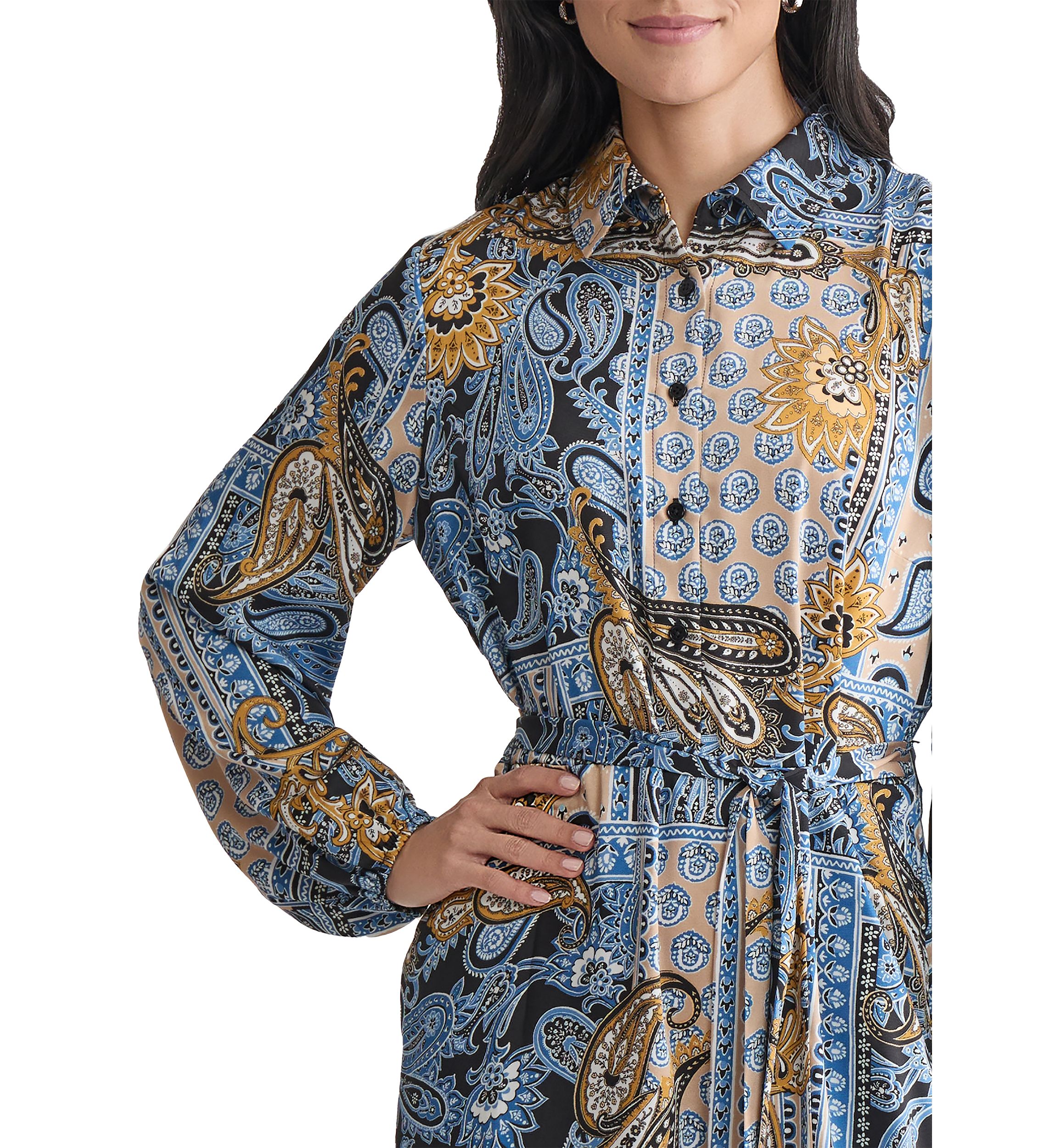 Womens Long Sleeve Printed Chiffon A-Line Dress